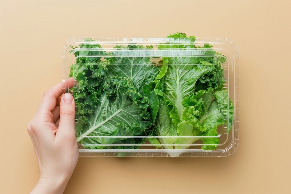 Lunchbox packaging vegetable food produce.