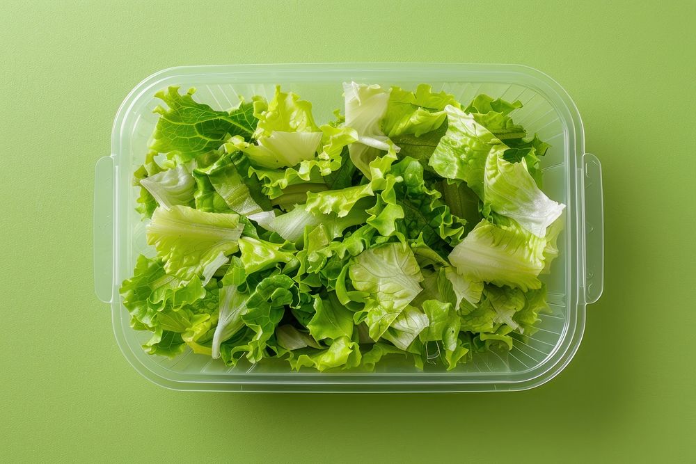 Lunchbox packaging vegetable food lettuce.