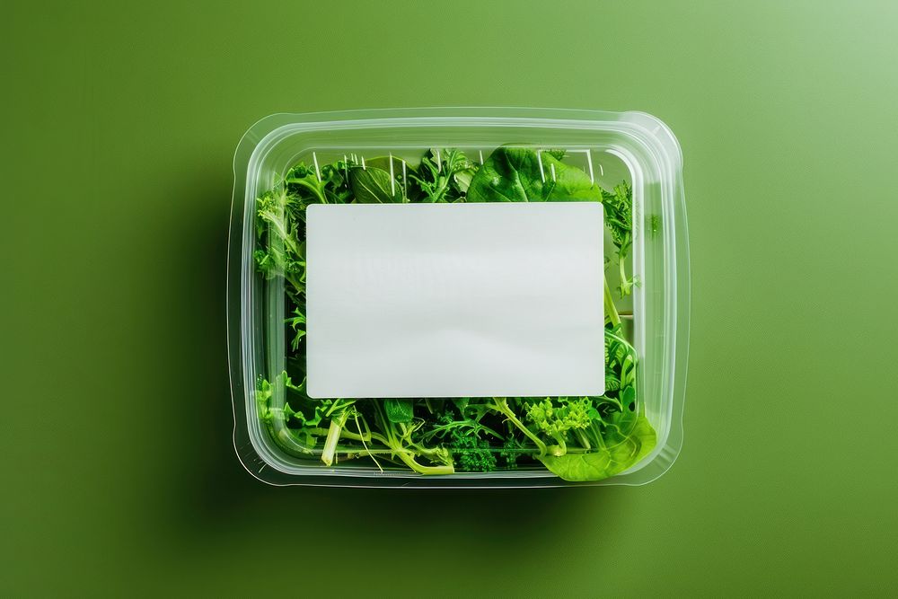 Lunchbox packaging vegetable lunch green.