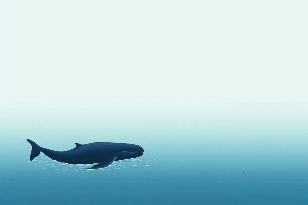 Whale animal mammal shark.