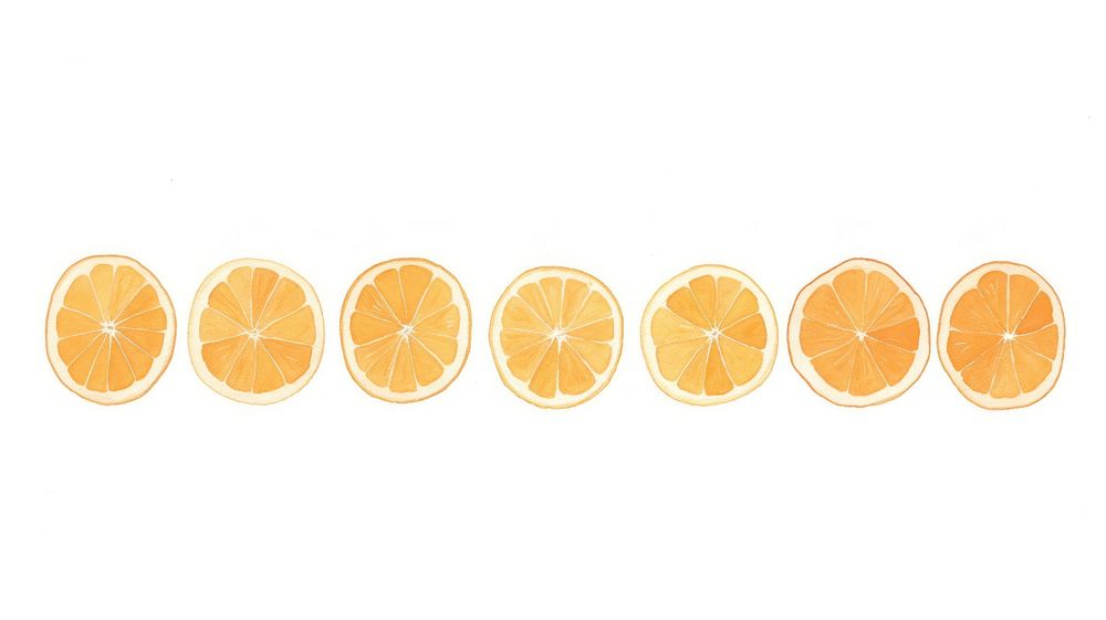 Oranges as divider line watercolour illustration grapefruit produce plant.