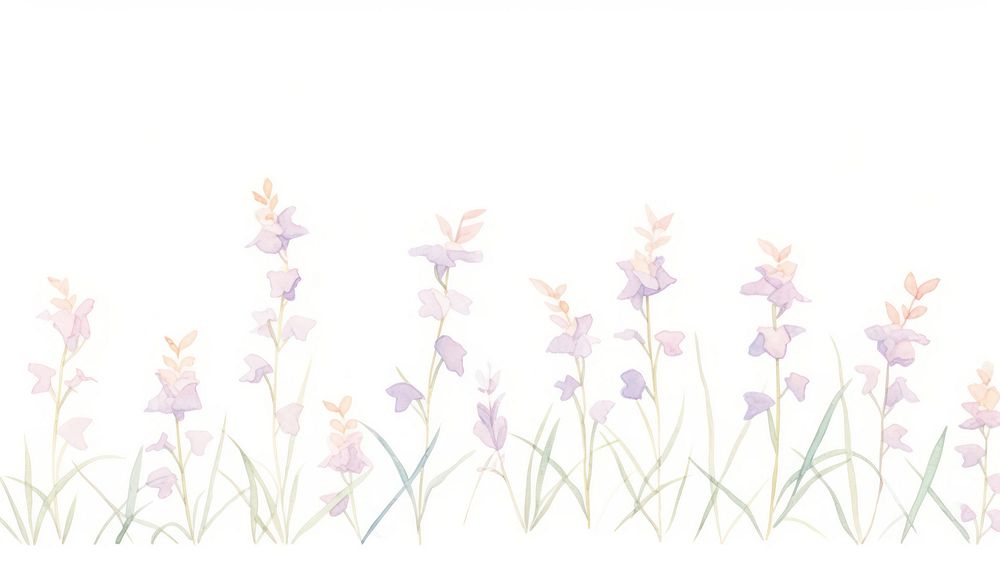 Orchids as divider line watercolour illustration blossom pattern flower.