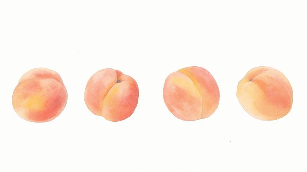 Peaches as divider line watercolour illustration produce fruit plant.