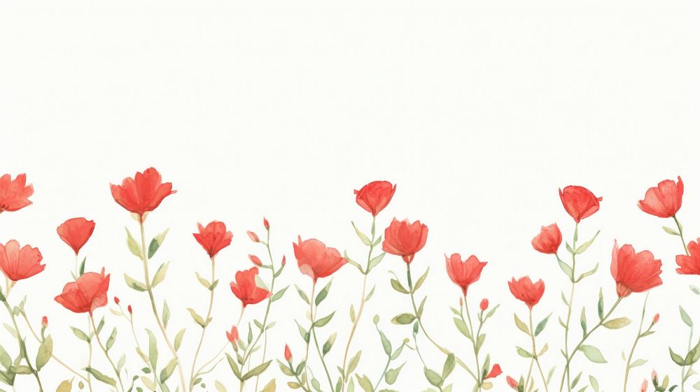 Red flowers as divider line watercolour illustration carnation graphics blossom.