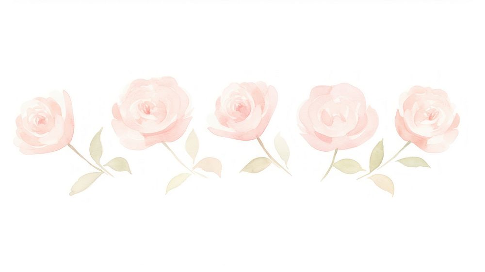 Roses as divider line watercolour illustration graphics blossom pattern.