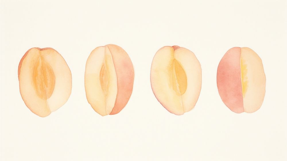 Slided peaches as divider line watercolour illustration produce fruit plant.