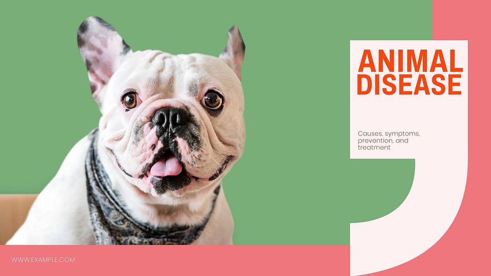 Animal disease blog banner template, editable text & design
