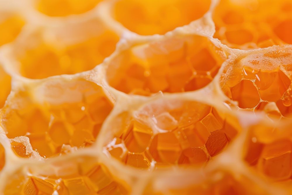 Honeycomb texture food.