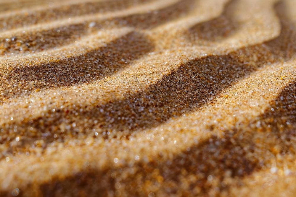 Sand texture outdoors nature bread.