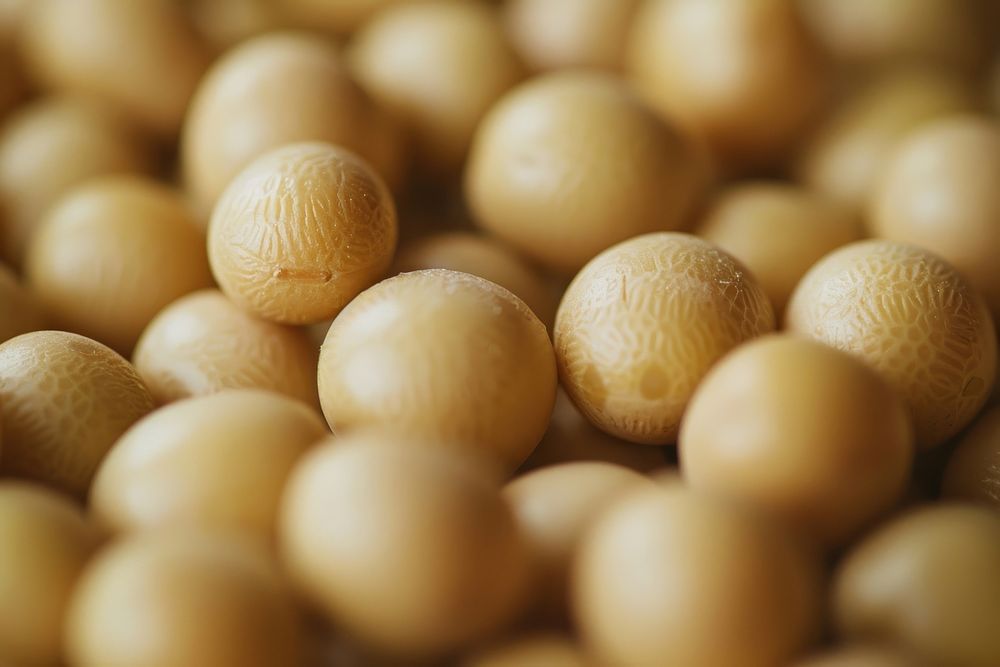 Soy beans texture vegetable produce plant.