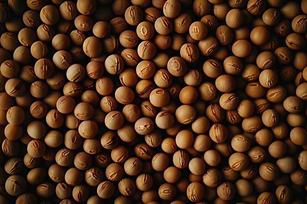 Soy beans texture vegetable beverage produce.