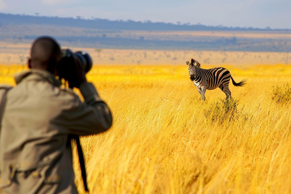 Man holding camera photography nature zebra.
