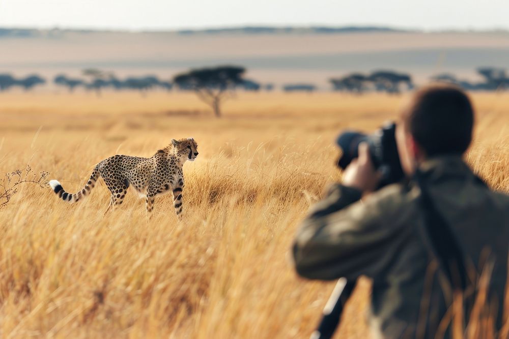 Man holding camera photography cheetah nature.