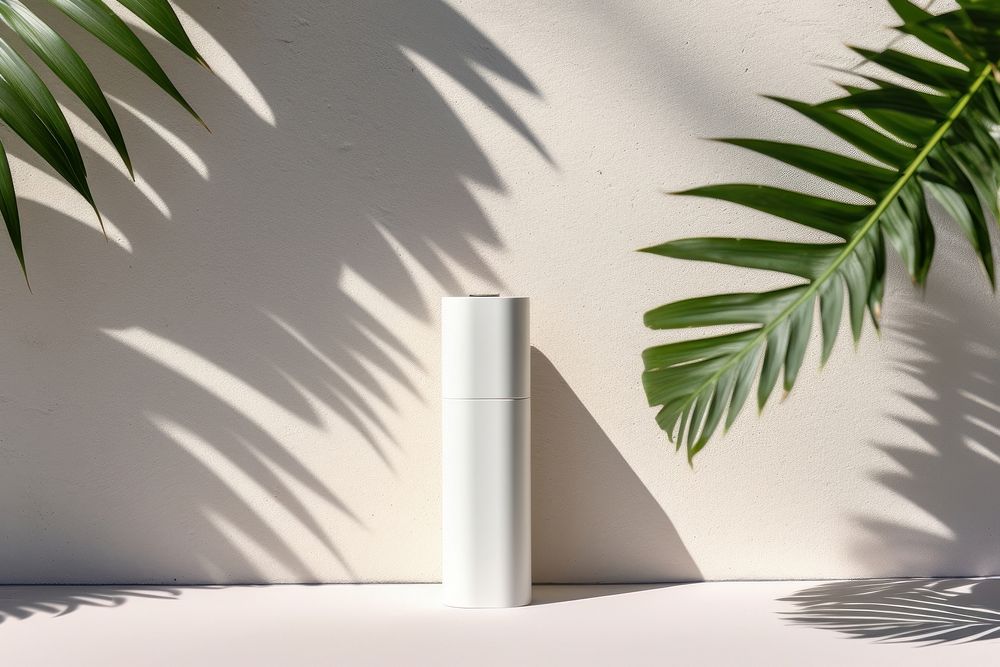 Packaging lipstick and white box mockup architecture plant leaf.
