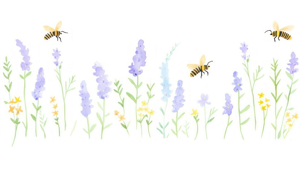 Bees as divider watercolor flower invertebrate lavender.