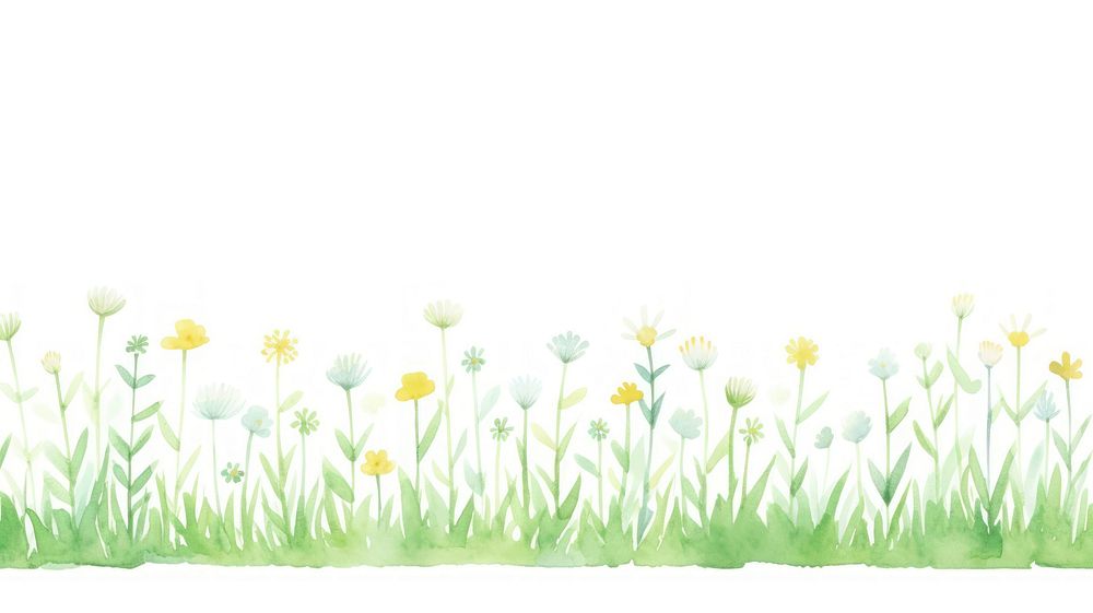 Grass as divider watercolor flower asteraceae painting.