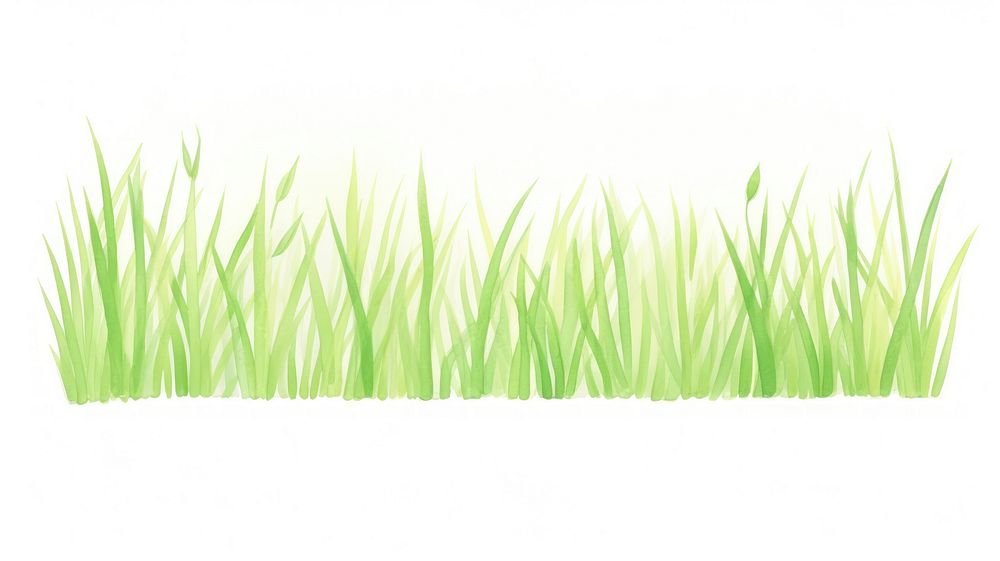 Grass as divider watercolor green vegetation aquatic.