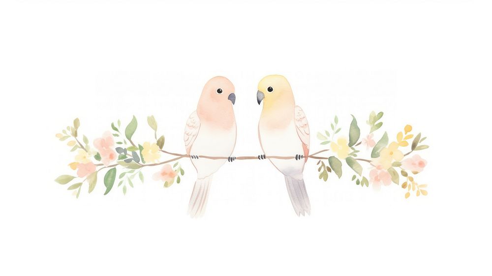 Birds with bouquet as divider watercolor parakeet animal parrot.