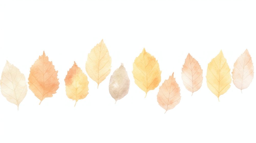 Autumn leaves as divider watercolor plant paper leaf.