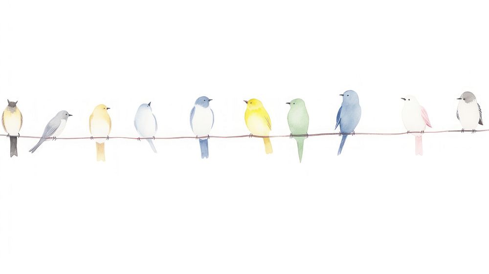 Birds as divider watercolor swallow animal canary.