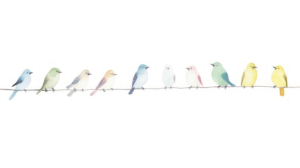 Birds as divider watercolor animal canary finch.