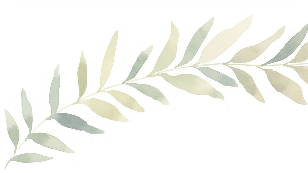 Botanical leaves as divider watercolor astragalus graphics pattern.
