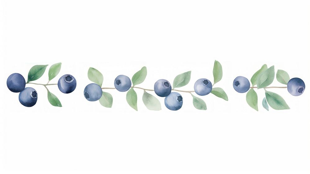 Blueberries as divider watercolor blueberry produce fruit.