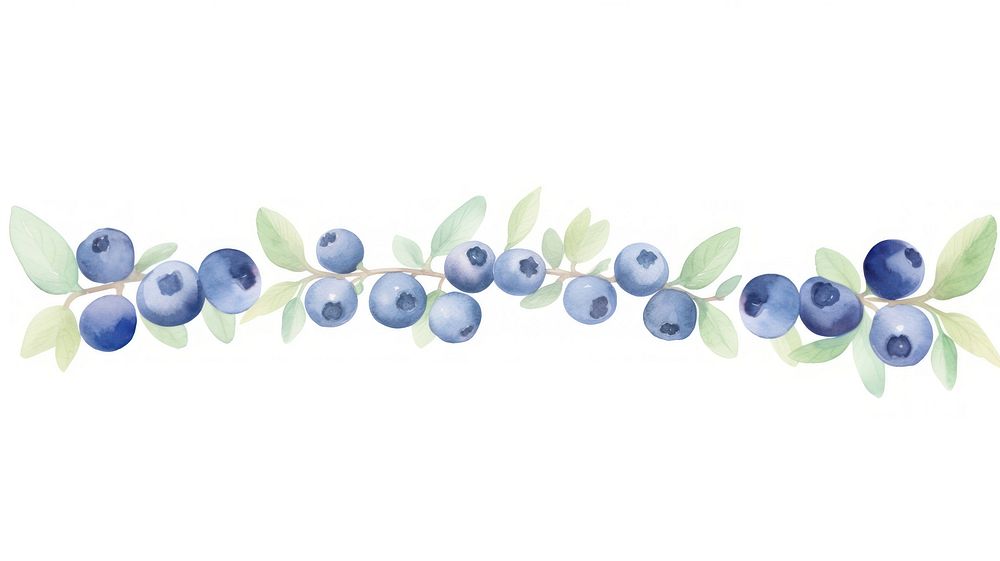 Blueberries as divider watercolor blueberry produce fruit.