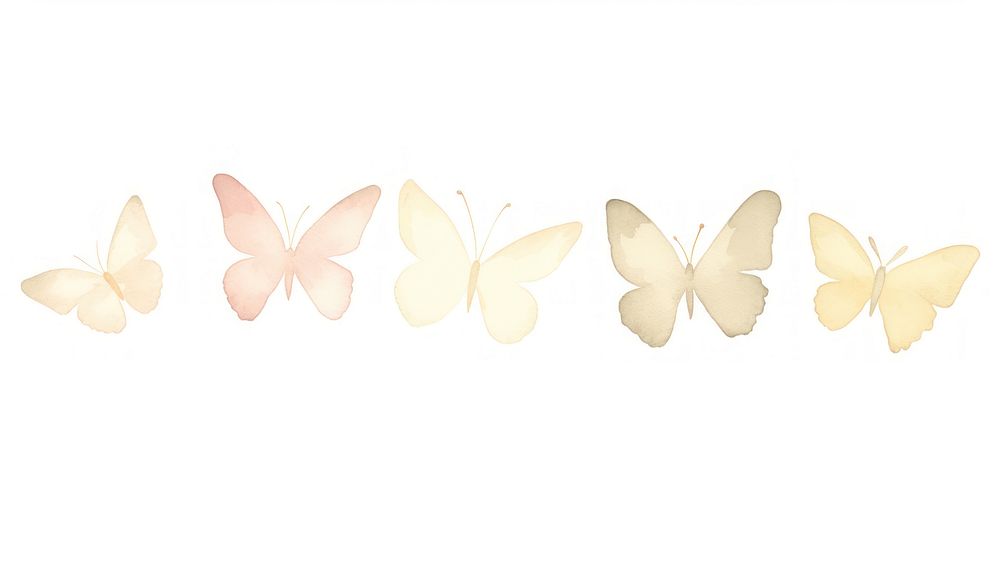 Butterflies as divider watercolor invertebrate butterfly blossom.