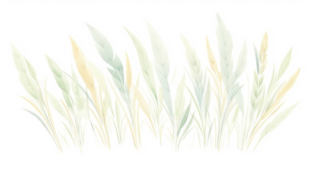 Grass flowers as divider watercolor graphics outdoors pattern.