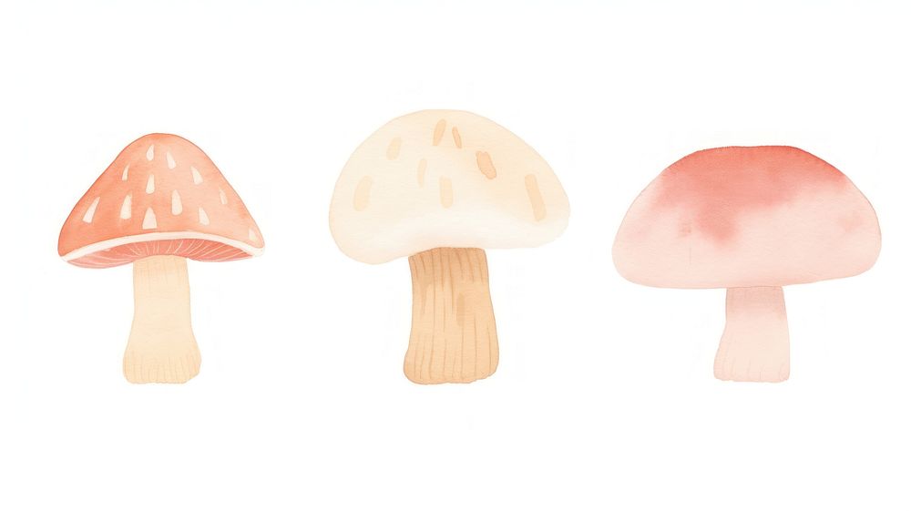 Mushroom as divider watercolor amanita fungus agaric.
