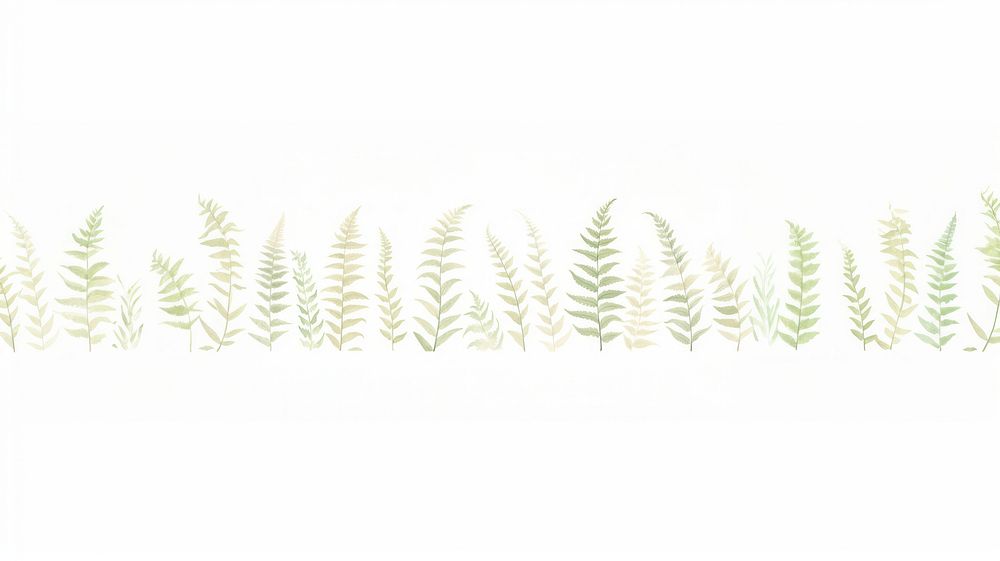 Ferns as divider watercolor vegetation outdoors herbal.