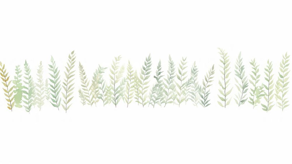 Ferns as divider watercolor vegetation outdoors pattern.