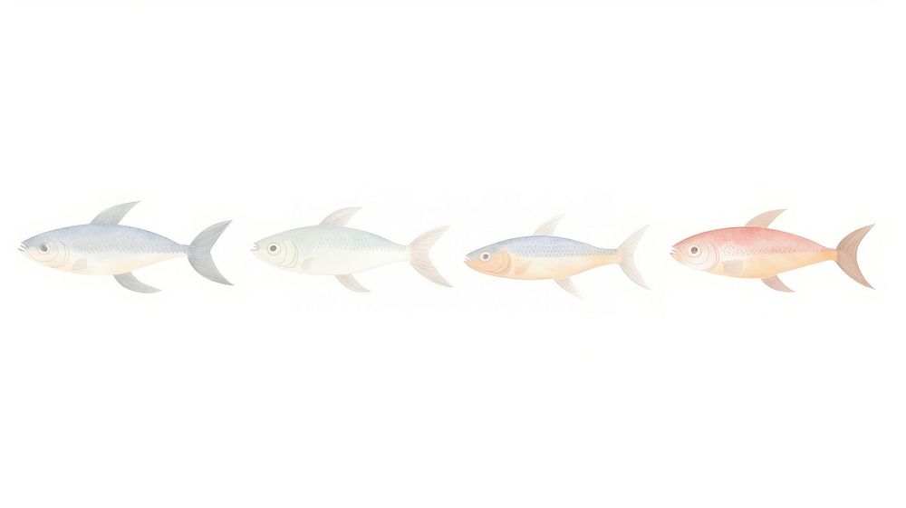 Fishes as divider watercolor animal sea life.