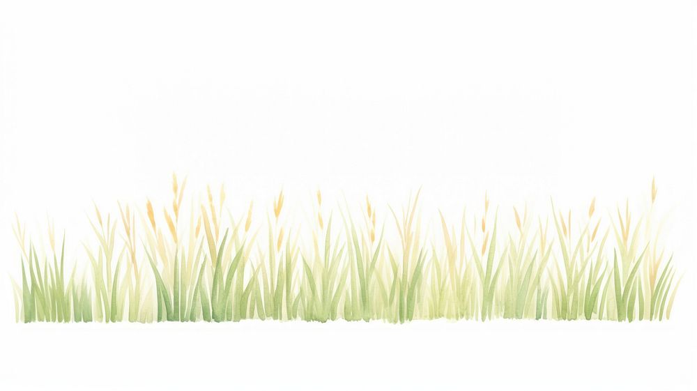 Grass as divider watercolor vegetation outdoors blossom.