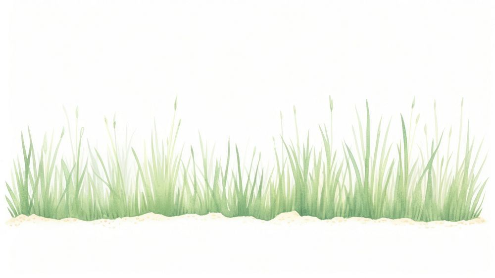 Grass as divider watercolor vegetation outdoors aquatic.
