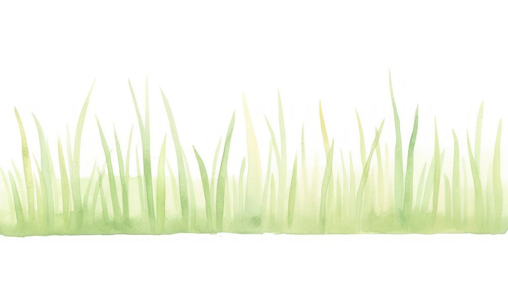 Grass as divider watercolor vegetation aquatic plant.
