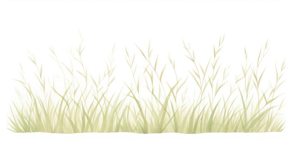 Grass as divider watercolor vegetation plant art.