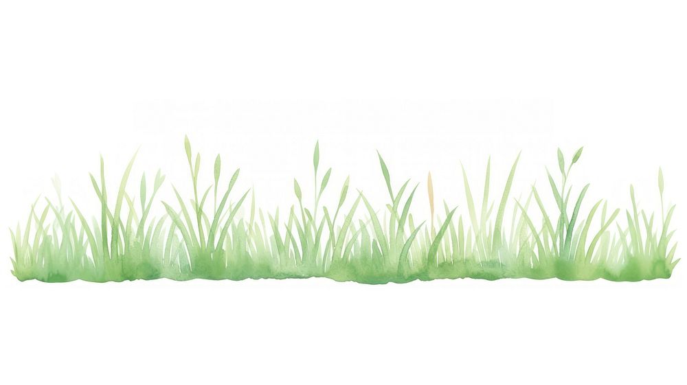 Grass as divider watercolor vegetation aquatic plant.