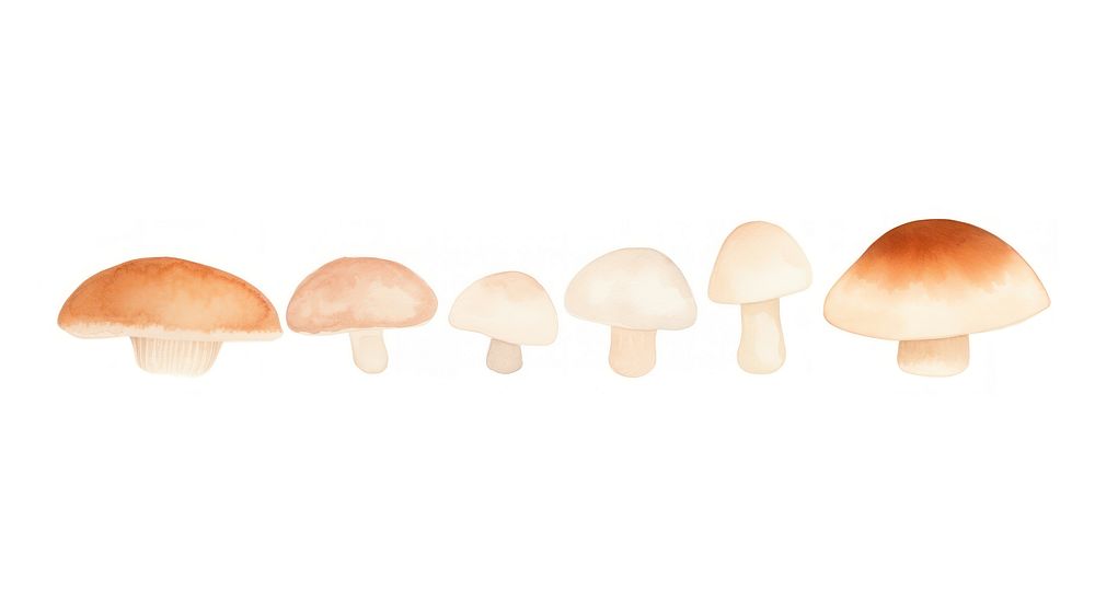 Mushrooms as divider watercolor amanita fungus agaric.