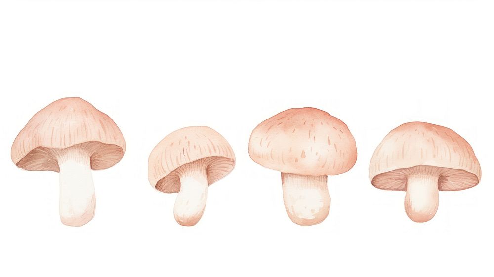 Mushrooms as divider watercolor amanita fungus agaric.