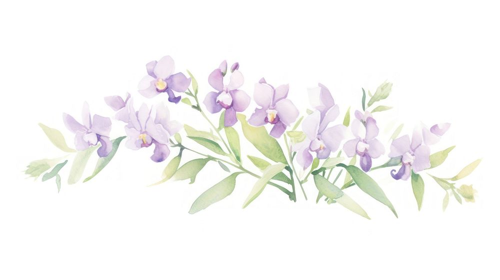 Orchid bouquet as divider watercolor graphics blossom pattern.