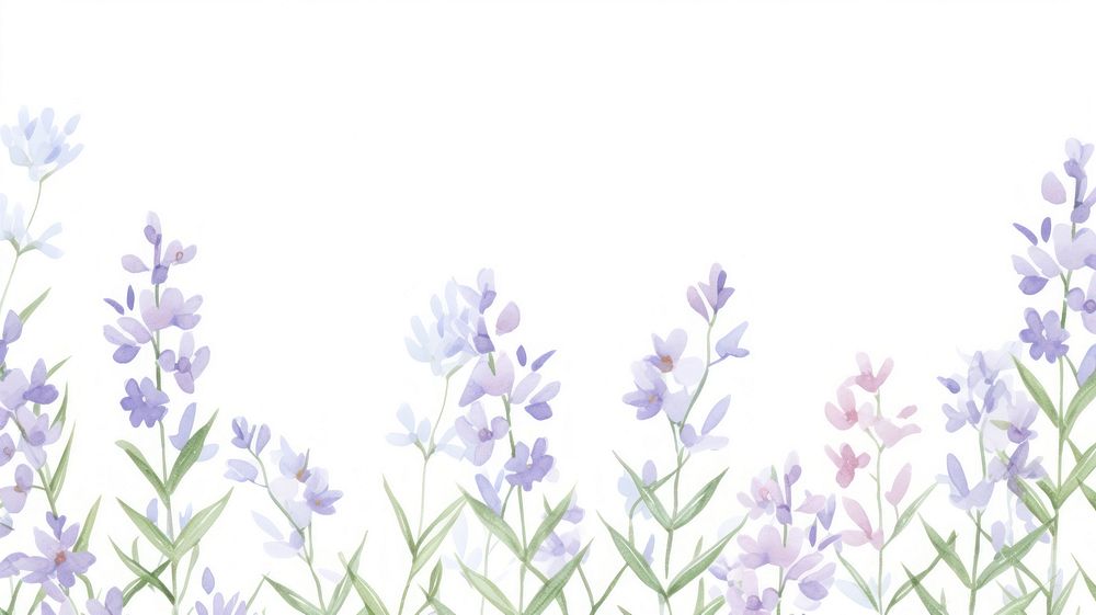Purple flowers as divider watercolor lavender outdoors blossom.