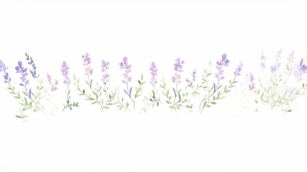 Purple flowers as divider watercolor lavender graphics blossom.