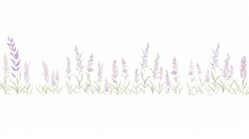 Purple flowers as divider watercolor vegetation lavender outdoors.
