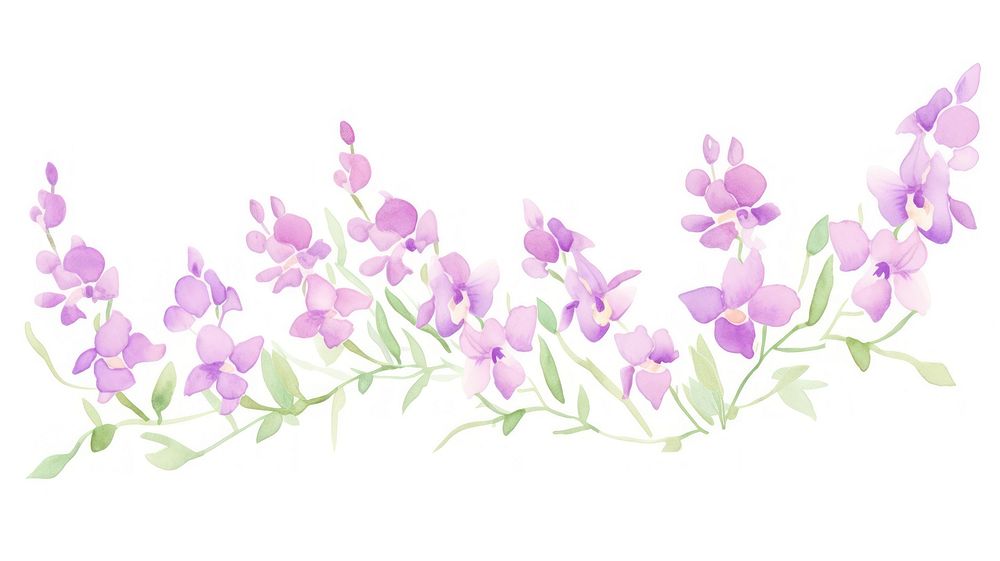 Orchid bouquet as divider watercolor graphics pattern blossom.