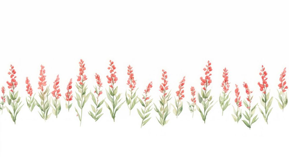 Red flowers as divider watercolor pattern blossom grass.