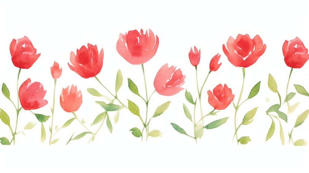 Red roses as divider watercolor painting graphics blossom.