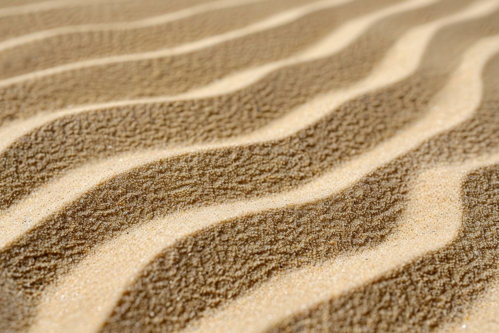 Dune Sand dune sand outdoors.