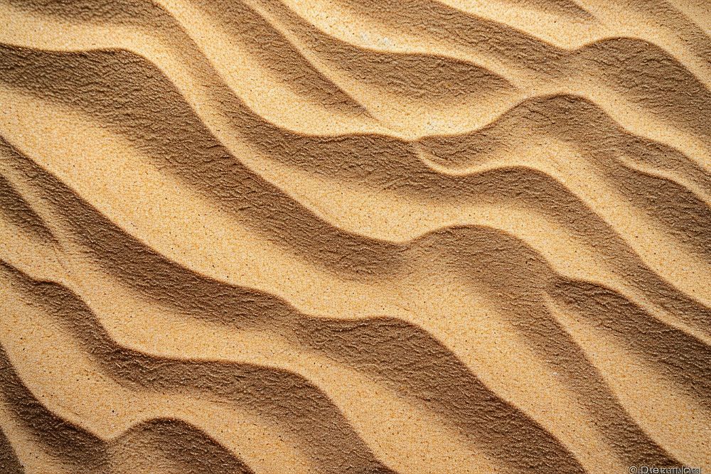 Brown Sand sand outdoors kangaroo.